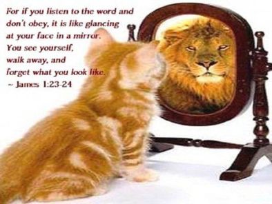 9&ccb=1-5&_nc_sid=dbeb18&_nc_ohc=WDd_YLvOXxIAX-vL5LT&tn=ZdEPRgGV5Q7M7mMw&_nc_ht=scontent.fykz2-1.