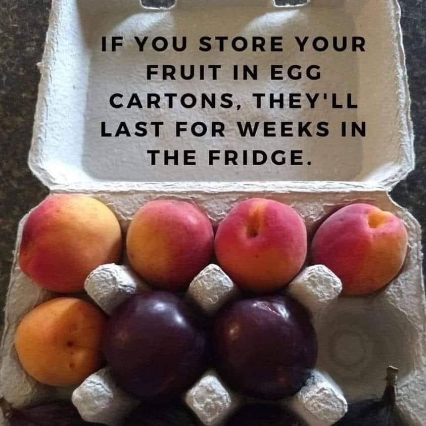 911_n.?_nc_cat=101&ccb=1-5&_nc_sid=8bfeb9&_nc_ohc=lPSpuNUmB_8AX-PIGiv&_nc_ht=scontent.fykz2-1.