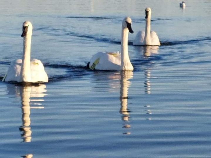 938_n.?_nc_cat=102&ccb=1-5&_nc_sid=825194&_nc_ohc=ikjmz942ppoAX-1Rkt1&_nc_ht=scontent.fykz2-1.