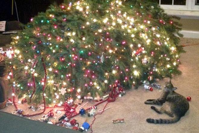 _cat=106&_nc_rgb565=1&ccb=1-5&_nc_sid=8bfeb9&_nc_ohc=5qzfYUtEGRgAX-UD4Qi&_nc_ht=scontent.fykz2-1.