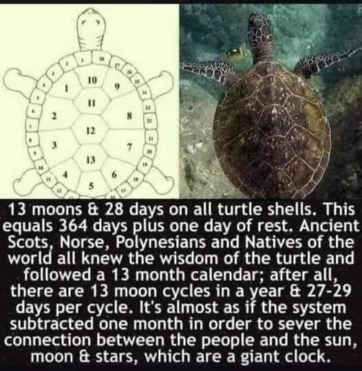 _cat=110&_nc_rgb565=1&ccb=1-5&_nc_sid=730e14&_nc_ohc=9_z9tYKF1mEAX_DdDxk&_nc_ht=scontent.fykz2-1.