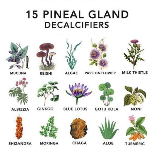 _p526x296&_nc_cat=105&ccb=1-5&_nc_sid=730e14&_nc_ohc=a3N_kilhqUEAX9Zey4-&_nc_ht=scontent.fykz2-1.