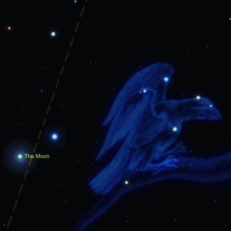 _p960x960&_nc_cat=103&ccb=1-5&_nc_sid=730e14&_nc_ohc=ONM4rLq0rgsAX9RxZu7&_nc_ht=scontent.fykz2-1.