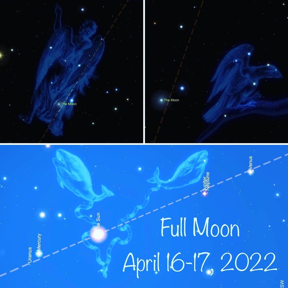 _p960x960&_nc_cat=104&ccb=1-5&_nc_sid=730e14&_nc_ohc=7t3YETgvaF4AX9_HBvO&_nc_ht=scontent.fykz2-1.