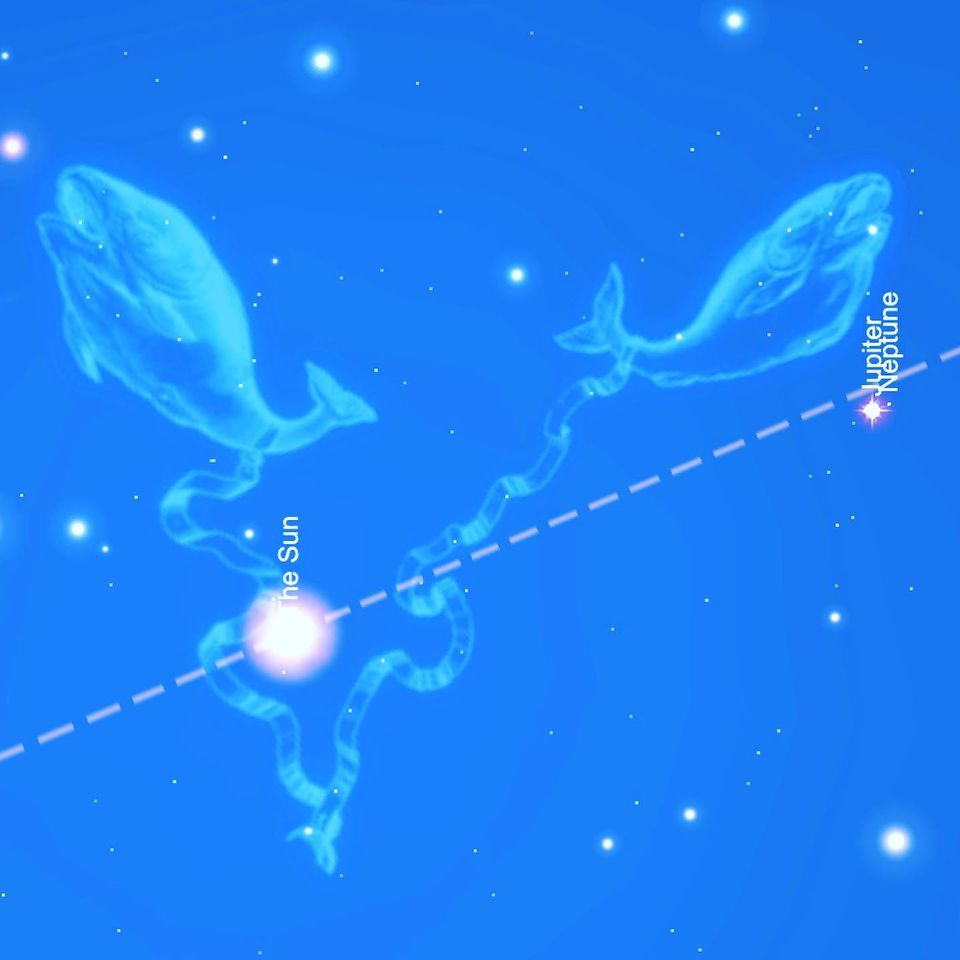 _p960x960&_nc_cat=110&ccb=1-5&_nc_sid=730e14&_nc_ohc=C1oUjNSJ5IIAX-rbKK_&_nc_ht=scontent.fykz2-1.