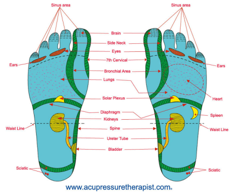 acupressure-points.