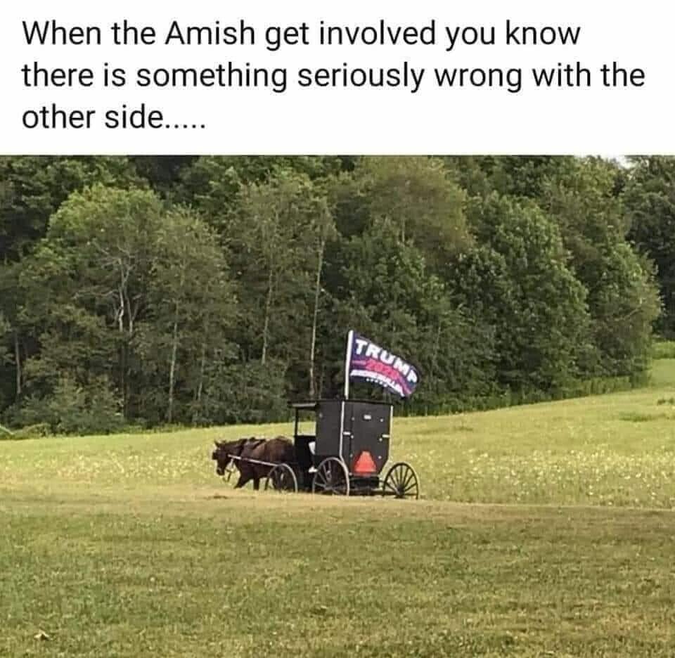 amish.