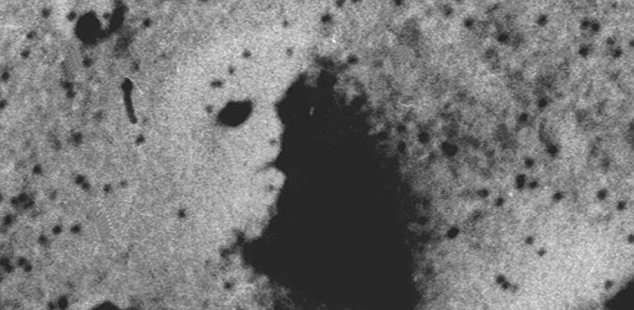 article-1204254-000B8CF400000258-232_634x310[1].