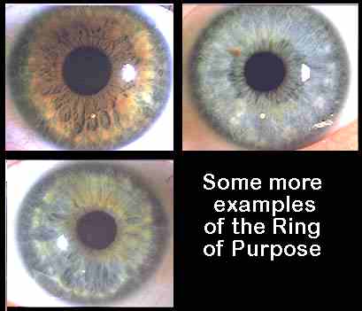 attachment.php?attachmentid=4756&d=1353945885.