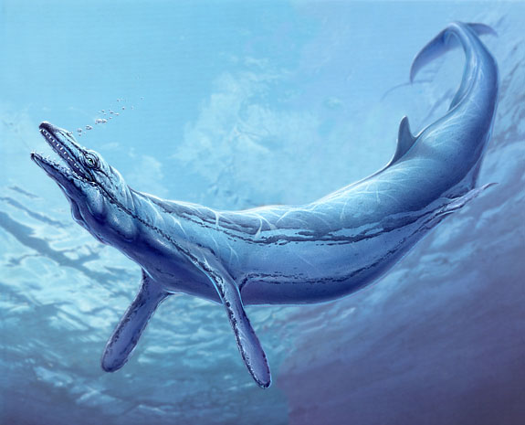 basilosaurus--5020-.18842.