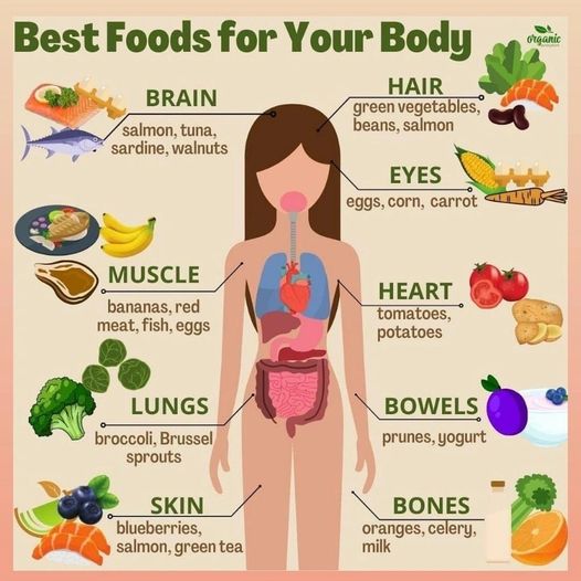 bestfoodsforbody.