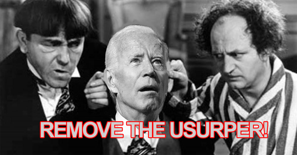 BIDEN-USURPER.