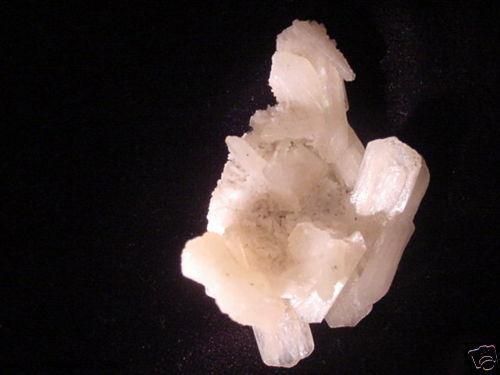 big_201051621122951.