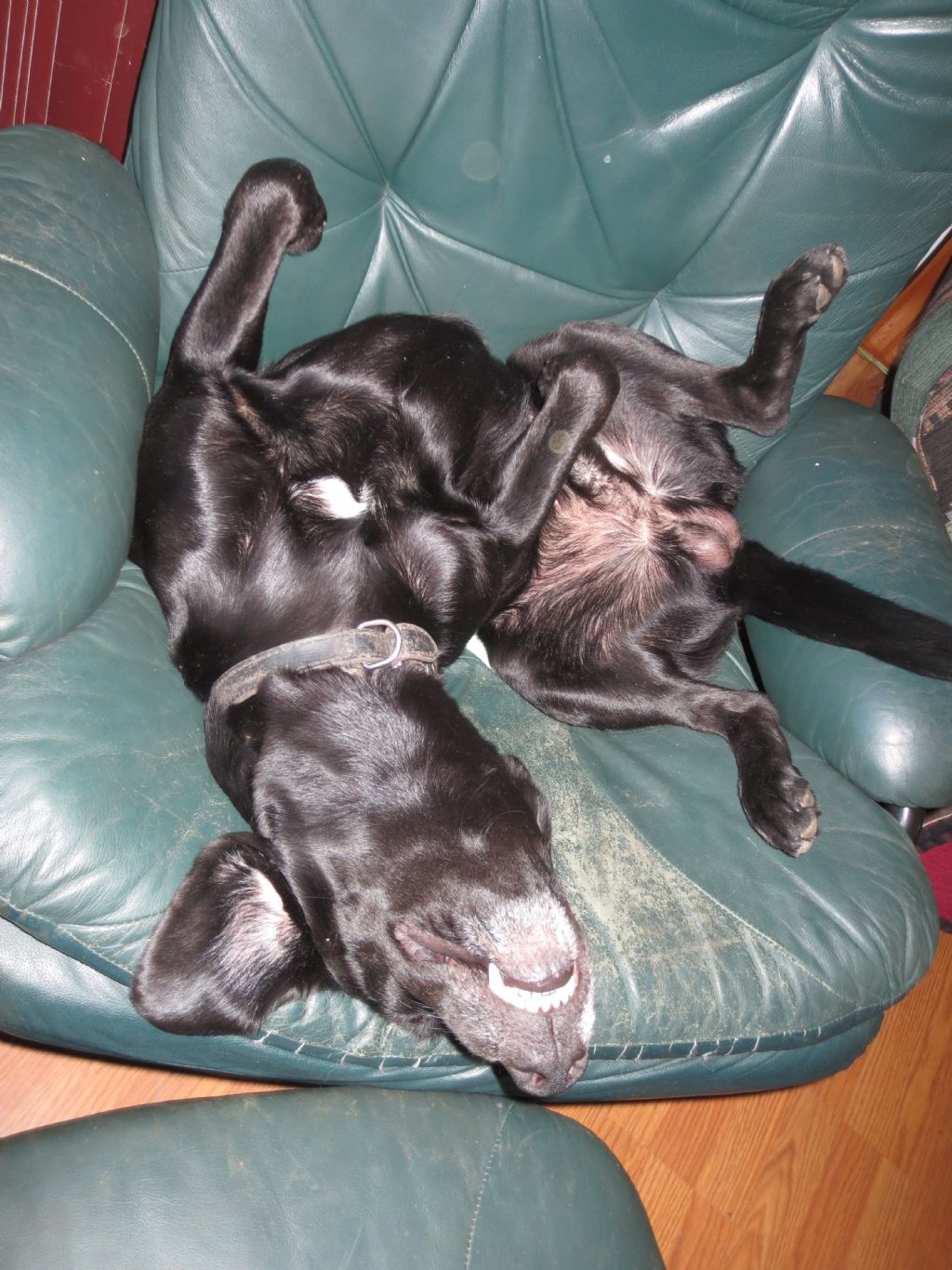 big_2013100921453047.