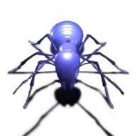 blue_ant-.20842.