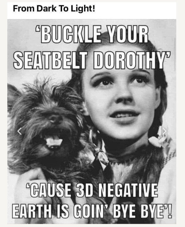 buckleyourseatbelt.