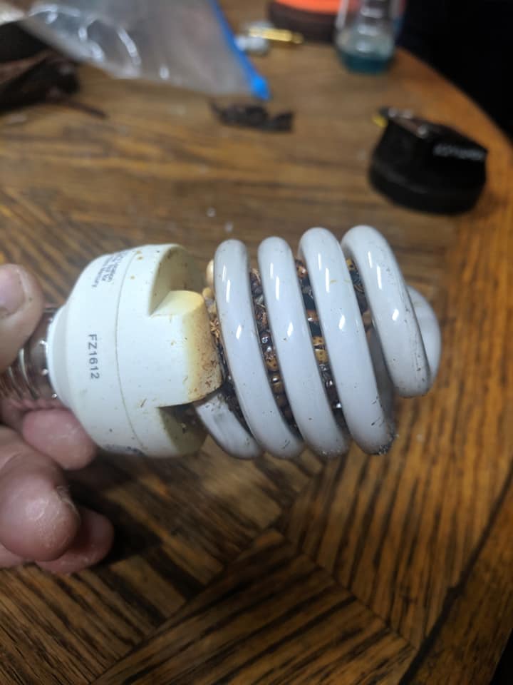 bulb2.