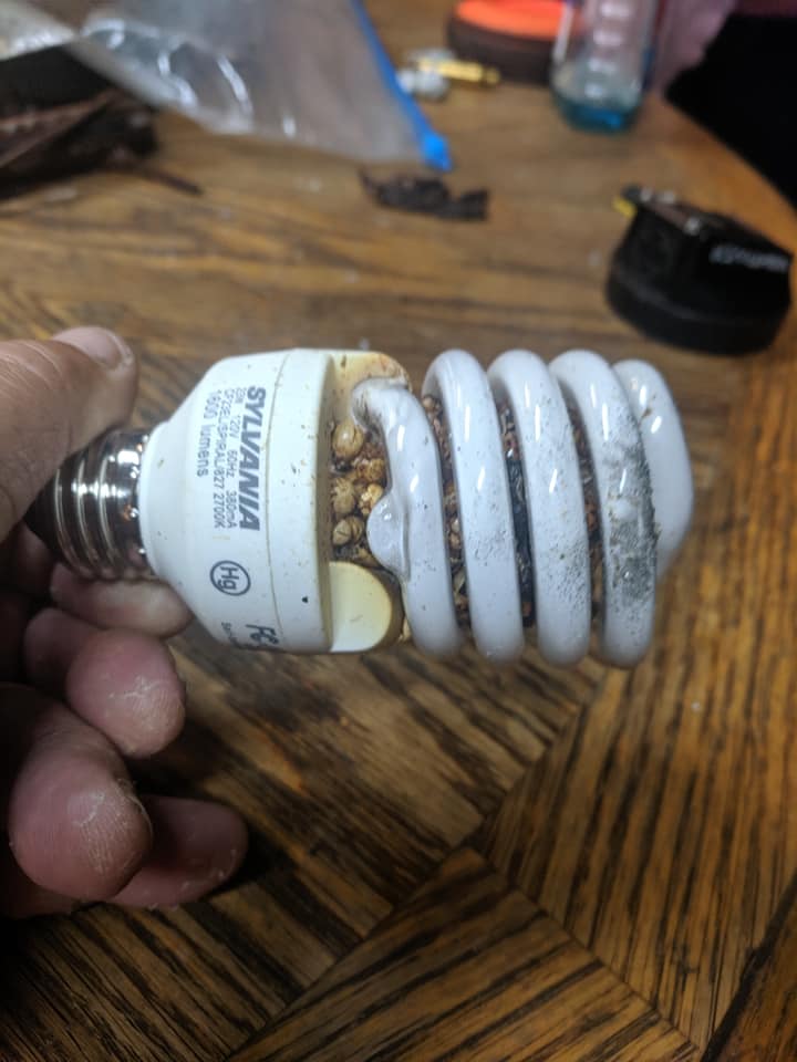 bulb3.