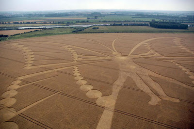 Butterfly-Crop-Circle-Netherlands-2009.