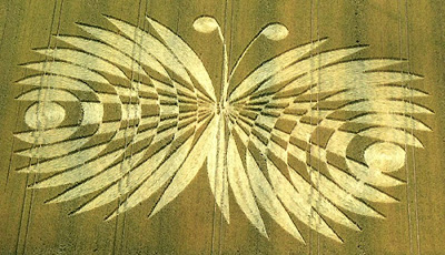 Butterfly+Crop+Circle+UK.