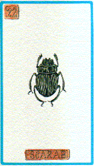 carscarab.