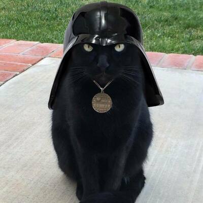 Cat_Vader.