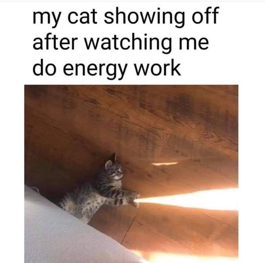 catenergyworkMH.