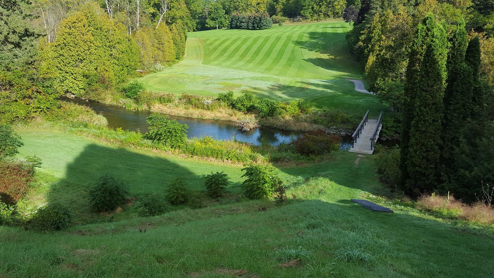 cedarspringsgolfcourse.