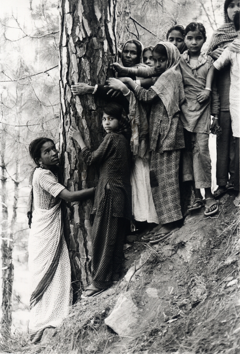 chipko-movement_1970.