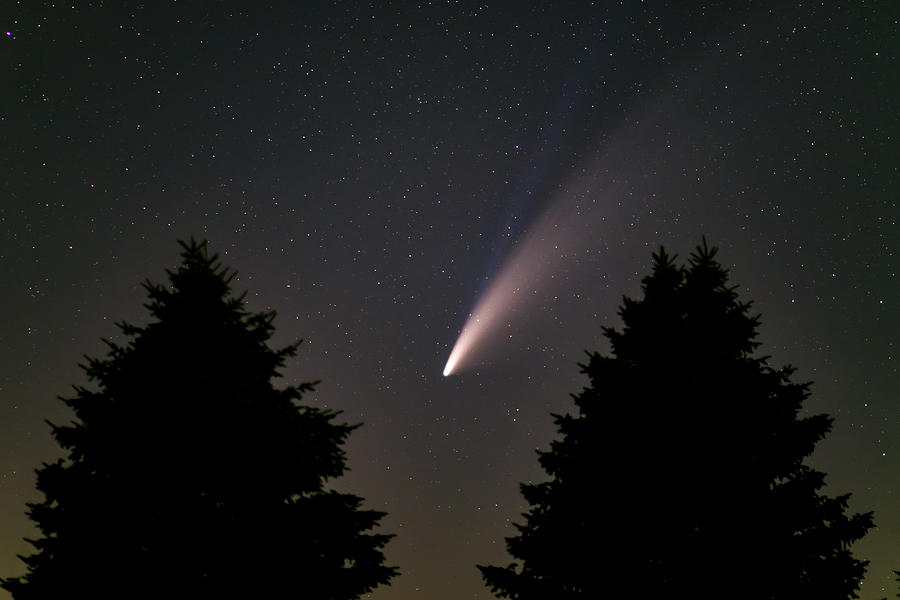 comet-between-the-trees-willard-sharp.