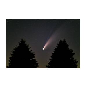 comet-between-the-trees-willard-sharp.