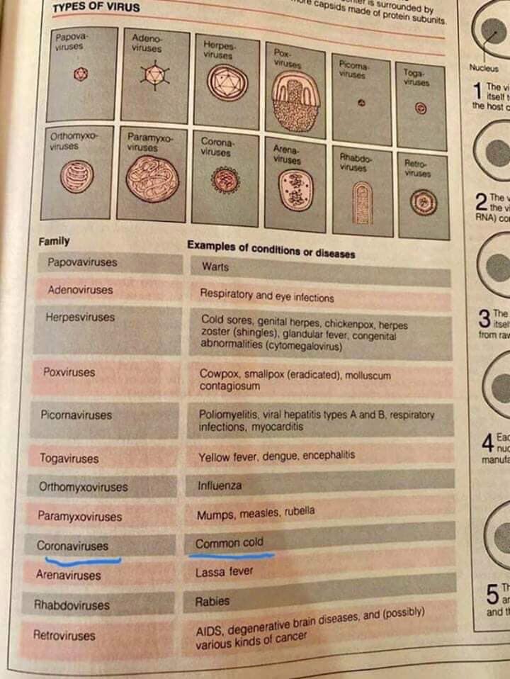 commoncold-.