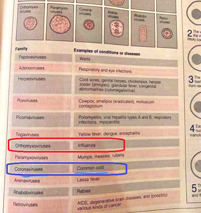 commoncolds.