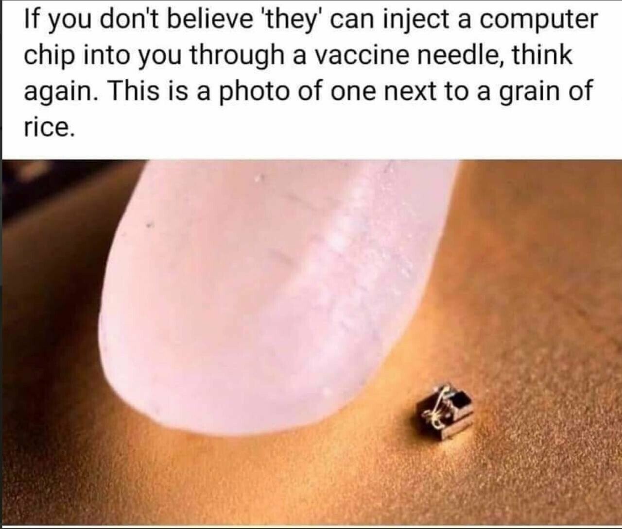 computerchipgrainofrice.