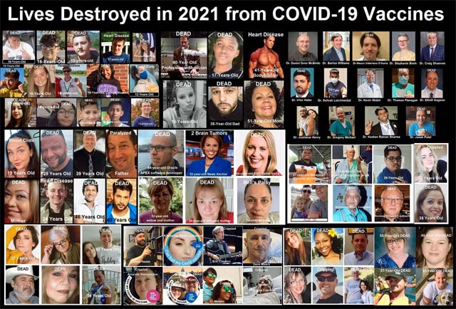 covid-vaccines-killed-more-people-in-one-year-than-all-other-vaccines-killed-in-32-years.