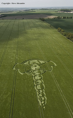 Crop+Circle+2009+Little+London,+near+Yatesbury,+Wiltshire.+Reported+3rd+June.