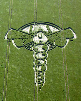 Crop+Circle+2009+Little+London,+nr+Yatesbury,+Wiltshire.+Reported+3rd+June.