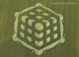 Crop+Circle+At+Danebury+Hill+near+Nether+Wallop++Hampshire+Reported+6th+July+2010+UK.