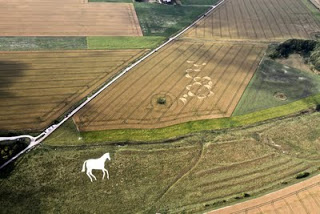 Crop+Circle+at+Roundway+Hill+near+Devizes+Wiltshire+23rd+July+2011.