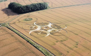 Crop+Circle+at+Roundway+Hill+near+Devizes,+Wiltshire+Reported+25th+July+2010.