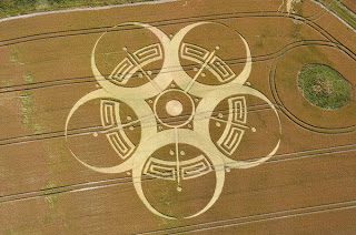 Crop+Circle+at+Roundway+Hill+near+Devizes,+Wiltshire+UK+25th+July+2010.