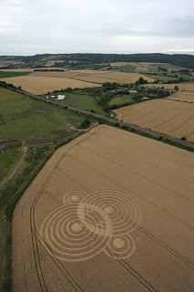 Crop+Circle+at+Woolaston+Grange,+Nr+Clap-Y-Ares.+Gloucestershire.+Reported+18th+July+2010.