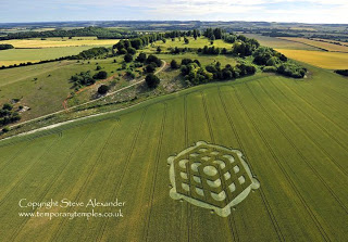 Crop+Circle+Danebury+Hill+near+Nether+Wallop++Hampshire+Reported+6th+July+2010+UK.