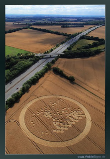 Crop+Circle+Wickham+Green+%28North+of+M4%29+near+Hungerford,+Berkshire+30th+July+2010.