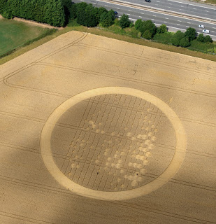 Crop+Circle+Wickham+Green+%28South+of+M4%29,+near+Hungerford,+Berkshire+Reported+30th+July+2010.