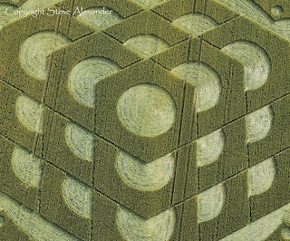 Crop+Circle+Zoomed+In+Danebury+Hill+near+Nether+Wallop++Hampshire+Reported+6th+July+2010+UK.