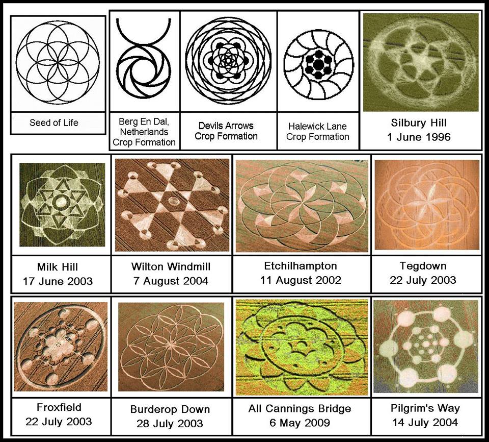 cropcircles2003.