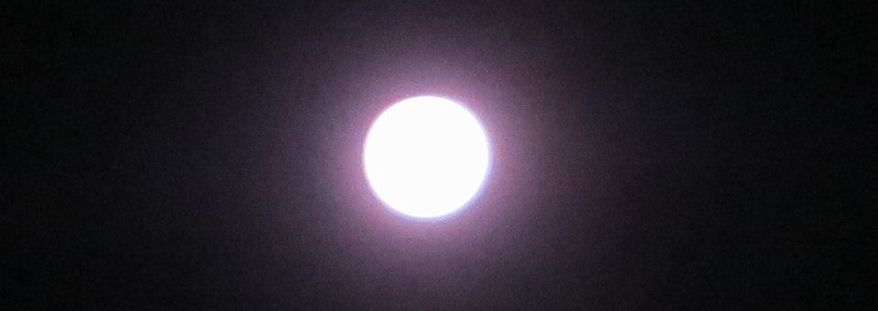 cropped-moondogpurple.