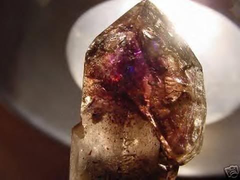 crystalamsceptor.