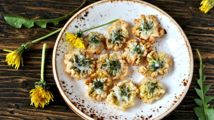 dandelion-flowers-fried-deep-recipes-organic-dandelion-recipes-ss-featured-750x420.
